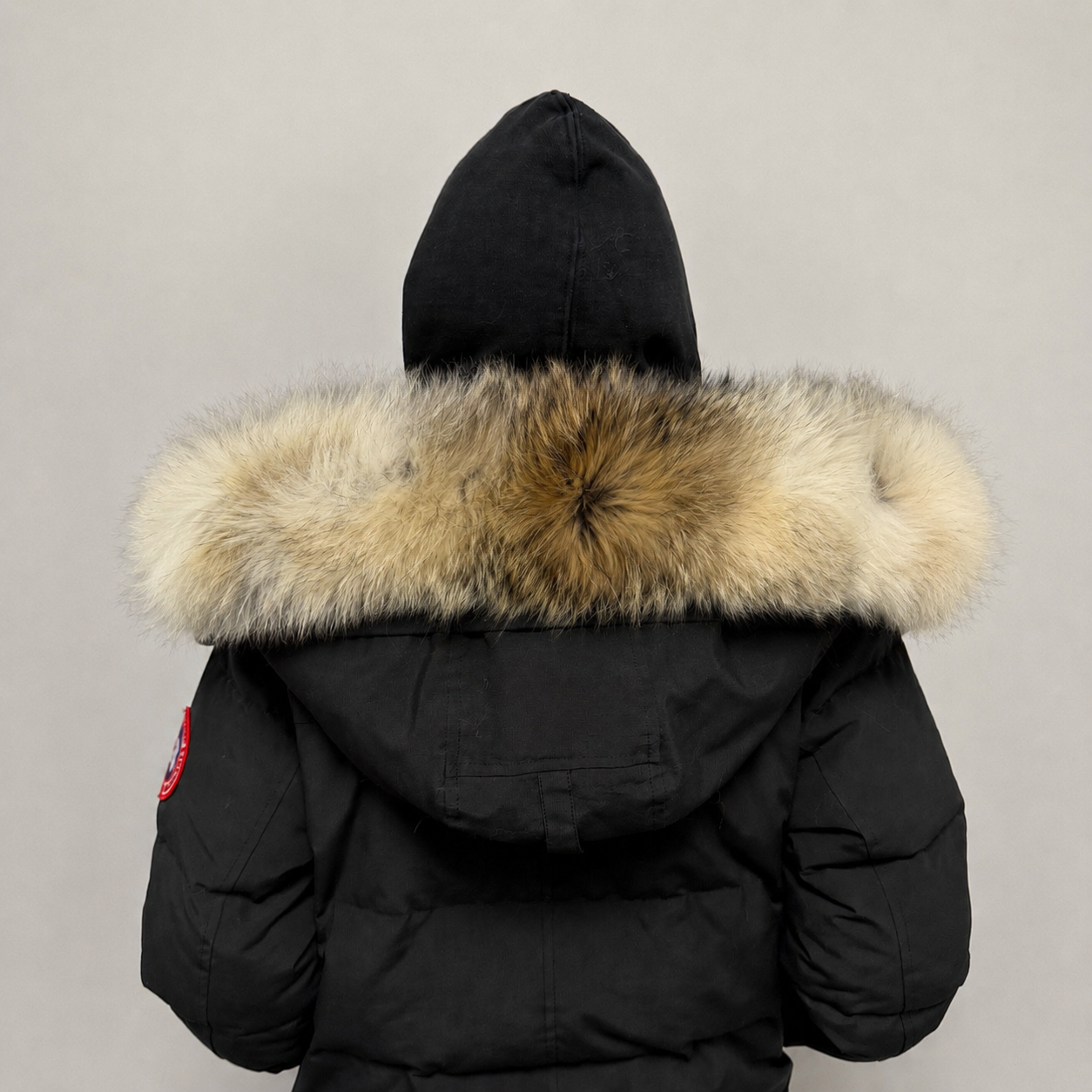 Old Season Fur ( 20 )