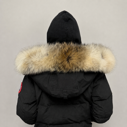 Old Season Fur ( 20 )