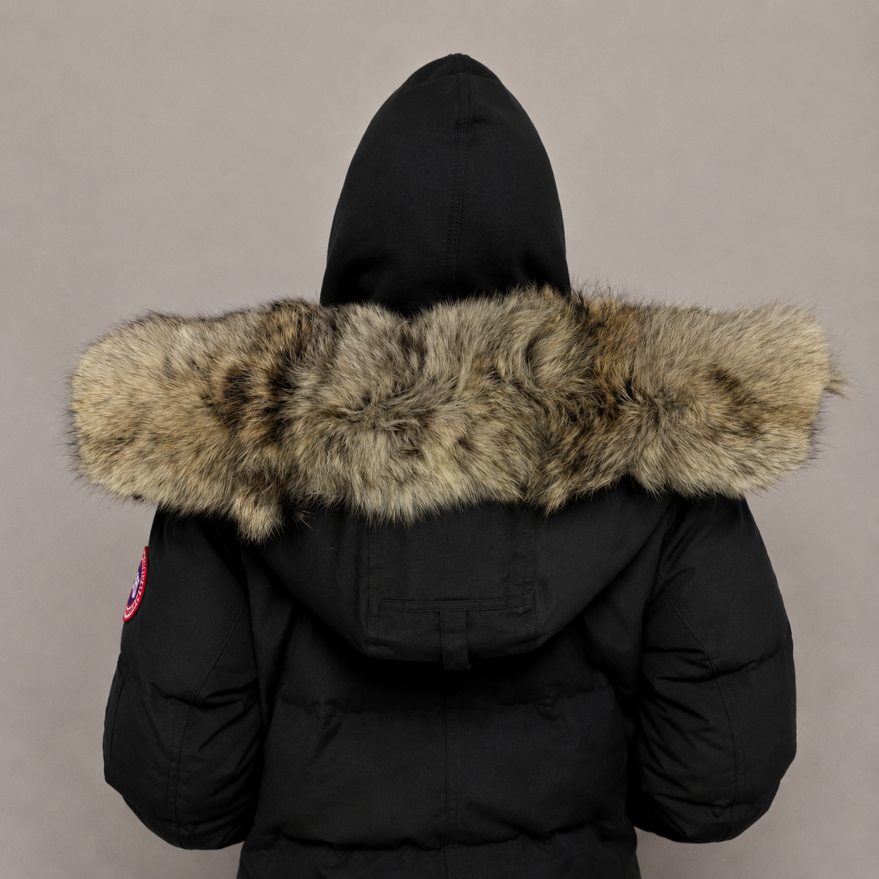 Old Season Fur ( 13 )