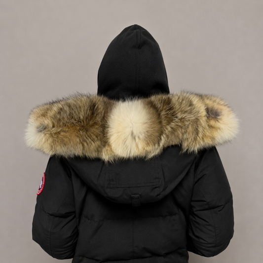Old Season Fur ( 11 )