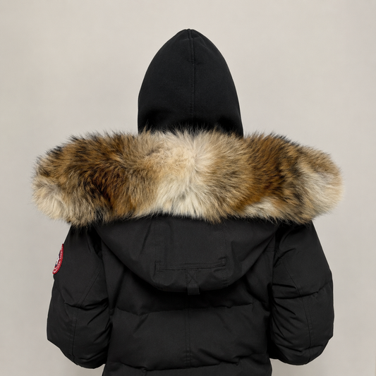 New Season Fur ( 6 )
