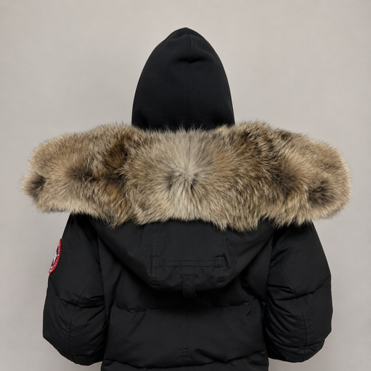 Old Season Fur ( 6 )