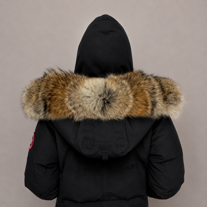 New Season Fur ( 19 )