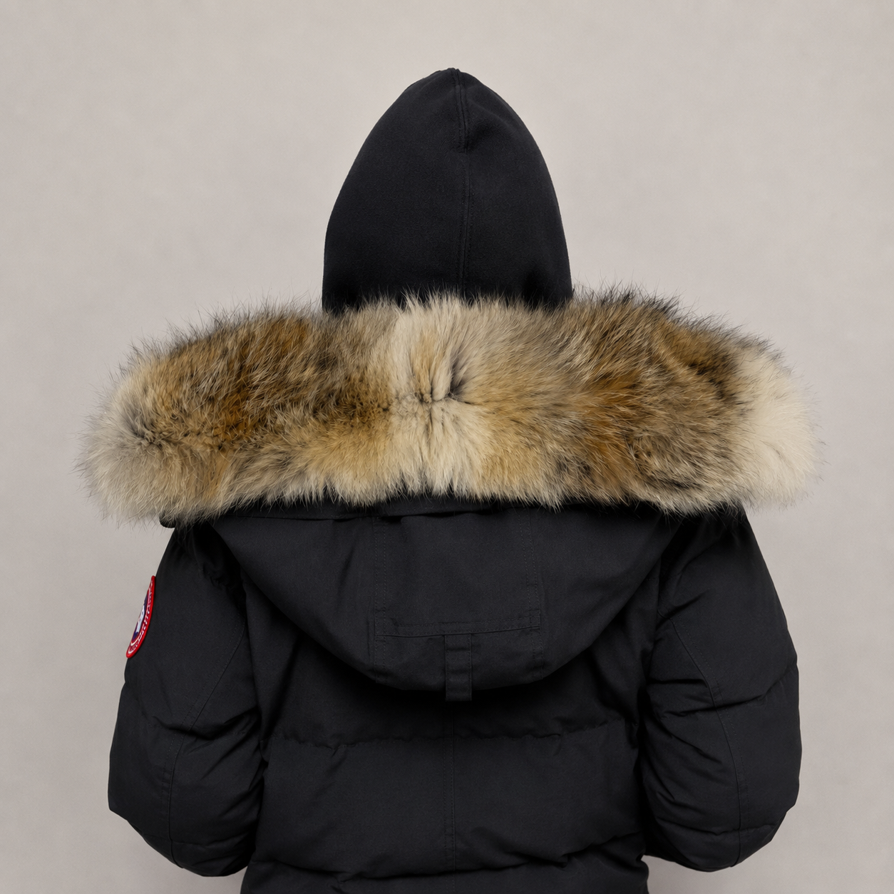 New Season Fur ( 12 )