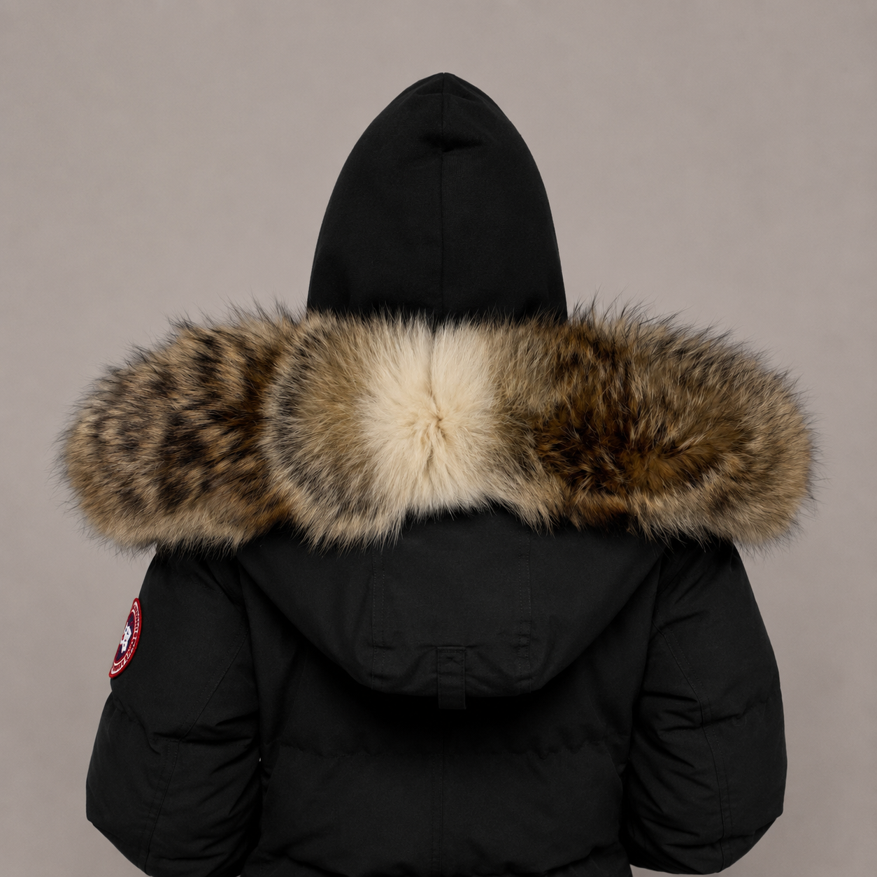 New Season Fur ( 3 )