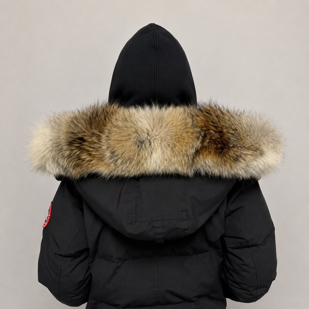 New Season Fur ( 8 )