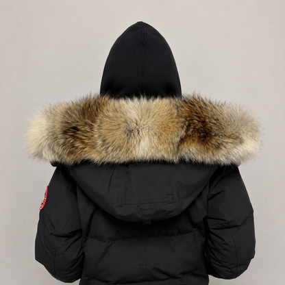 New Season Fur ( 8 )