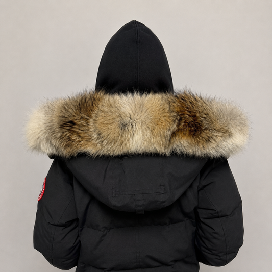 New Season Fur ( 8 )