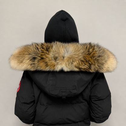 Old Season Fur ( 2 )
