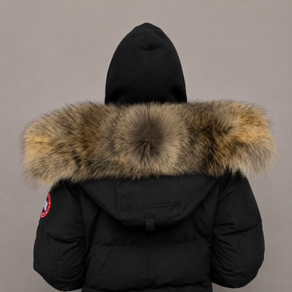 Old Season Fur ( 16 )