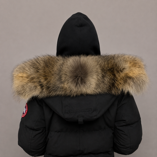 Old Season Fur ( 16 )
