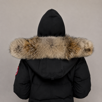 New Season Fur ( 16 )