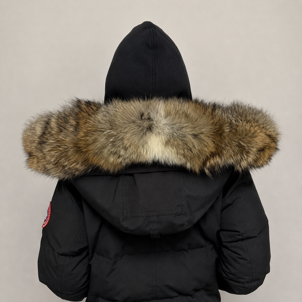 New Season Fur ( 9 )