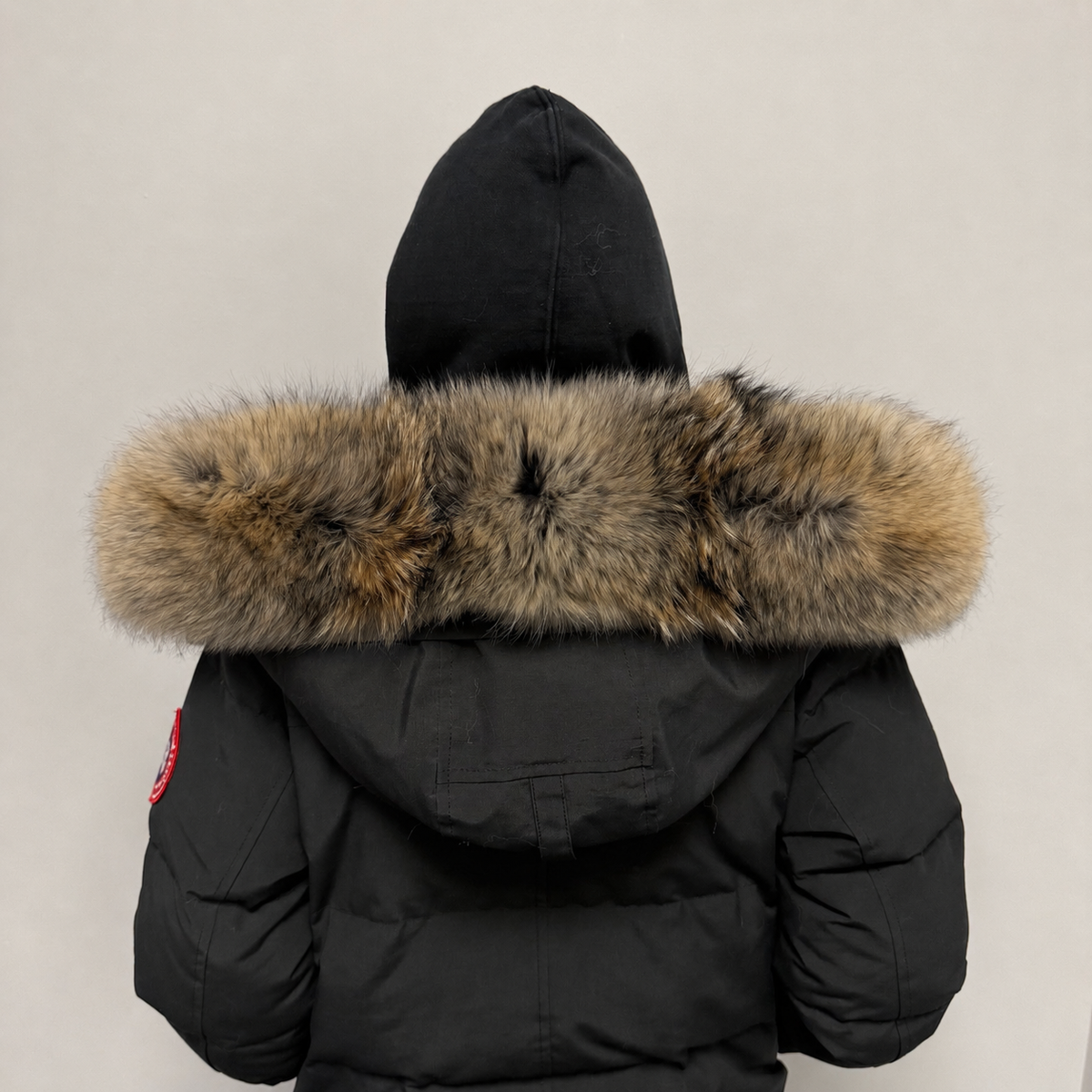 Old Season Fur ( 22 )