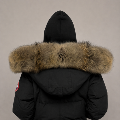 Old Season Fur ( 10 )
