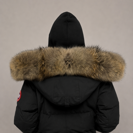 Old Season Fur ( 10 )