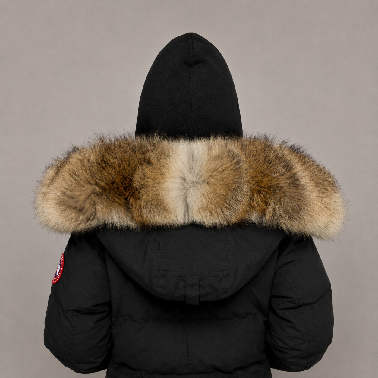 New Season Fur ( 2 )