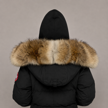 New Season Fur ( 2 )