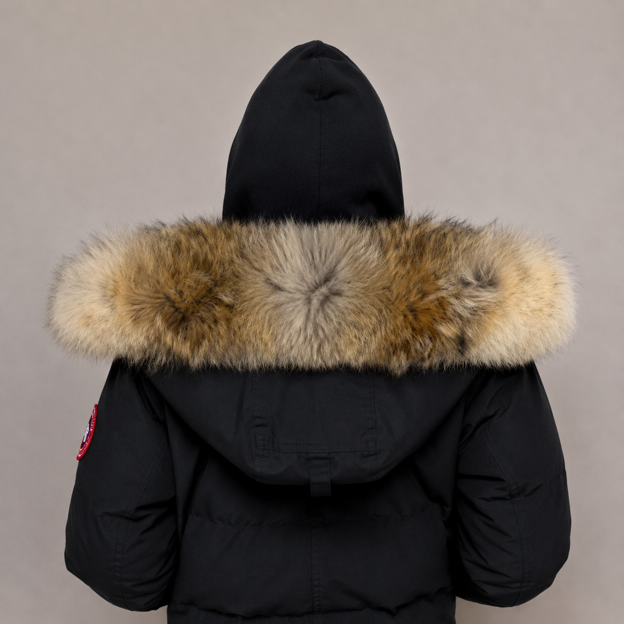New Season Fur ( 11 )
