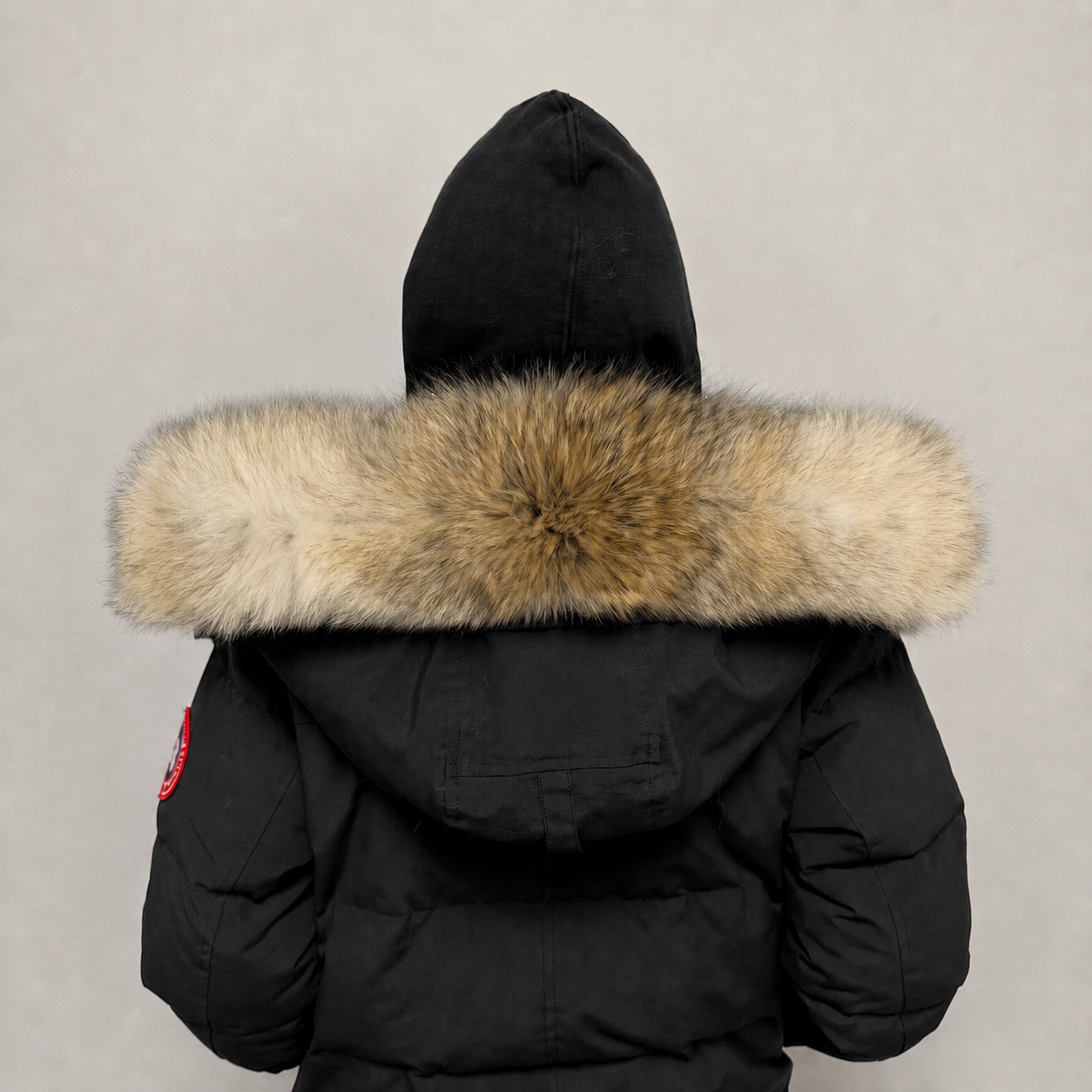 Old Season Fur ( 19 )