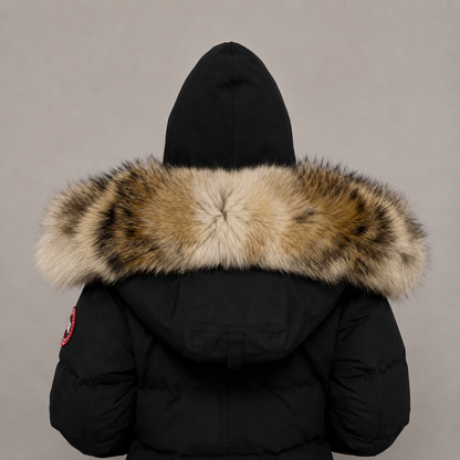 New Season Fur ( 1 )