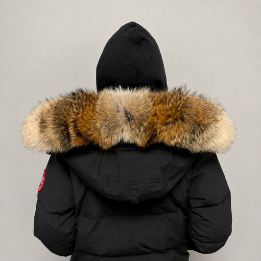 Old Season Fur ( 1 )