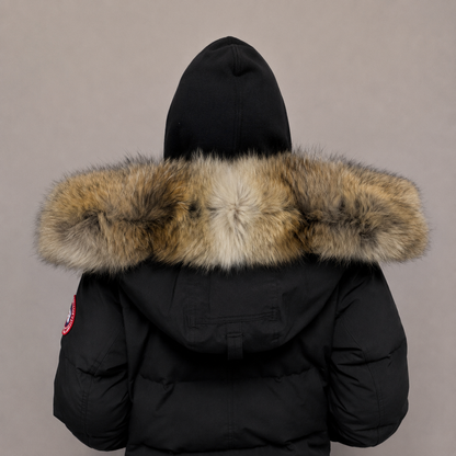 Old Season Fur ( 12 )