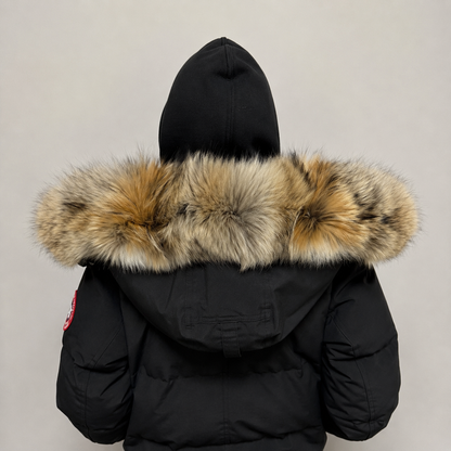 Old Season Fur ( 3 )