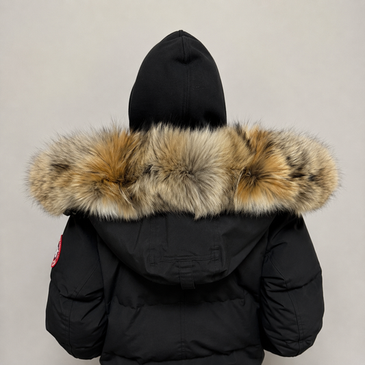 Old Season Fur ( 3 )