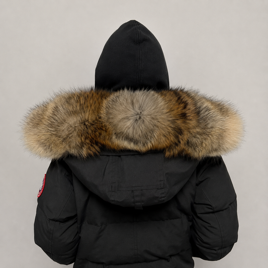 New Season Fur ( 7 )