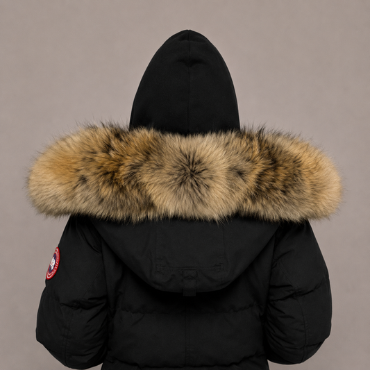 New Season Fur ( 4 )