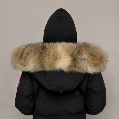 New Season Fur ( 17 )