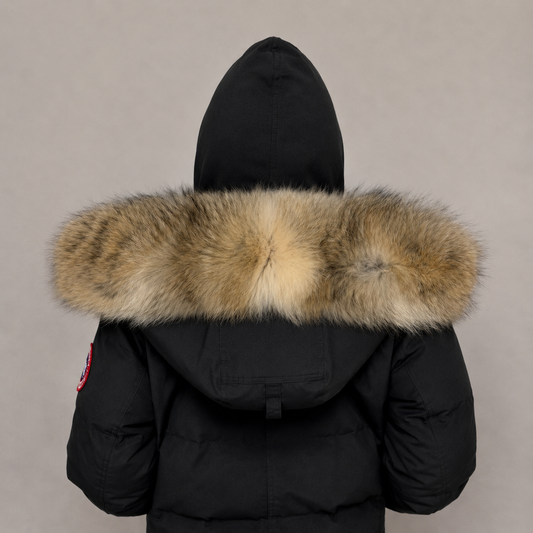 New Season Fur ( 17 )