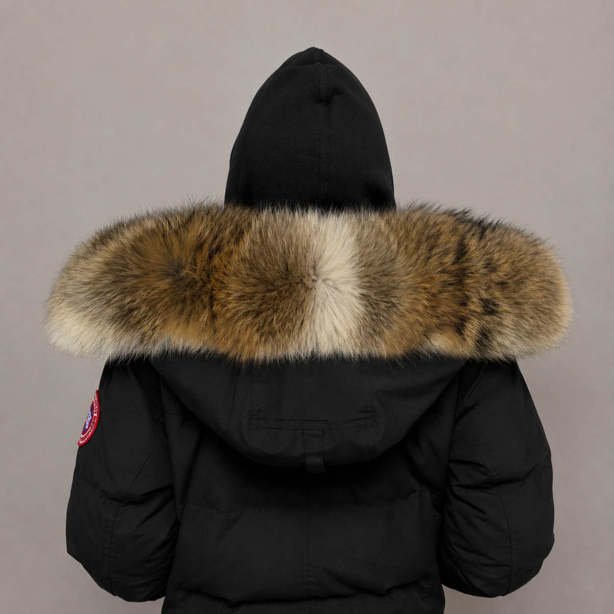 New Season Fur ( 20 )