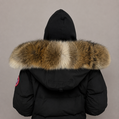 New Season Fur ( 20 )