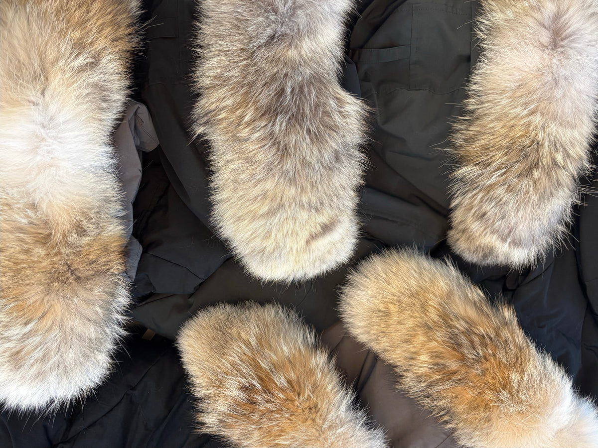 Genuine coyote fur hood trims