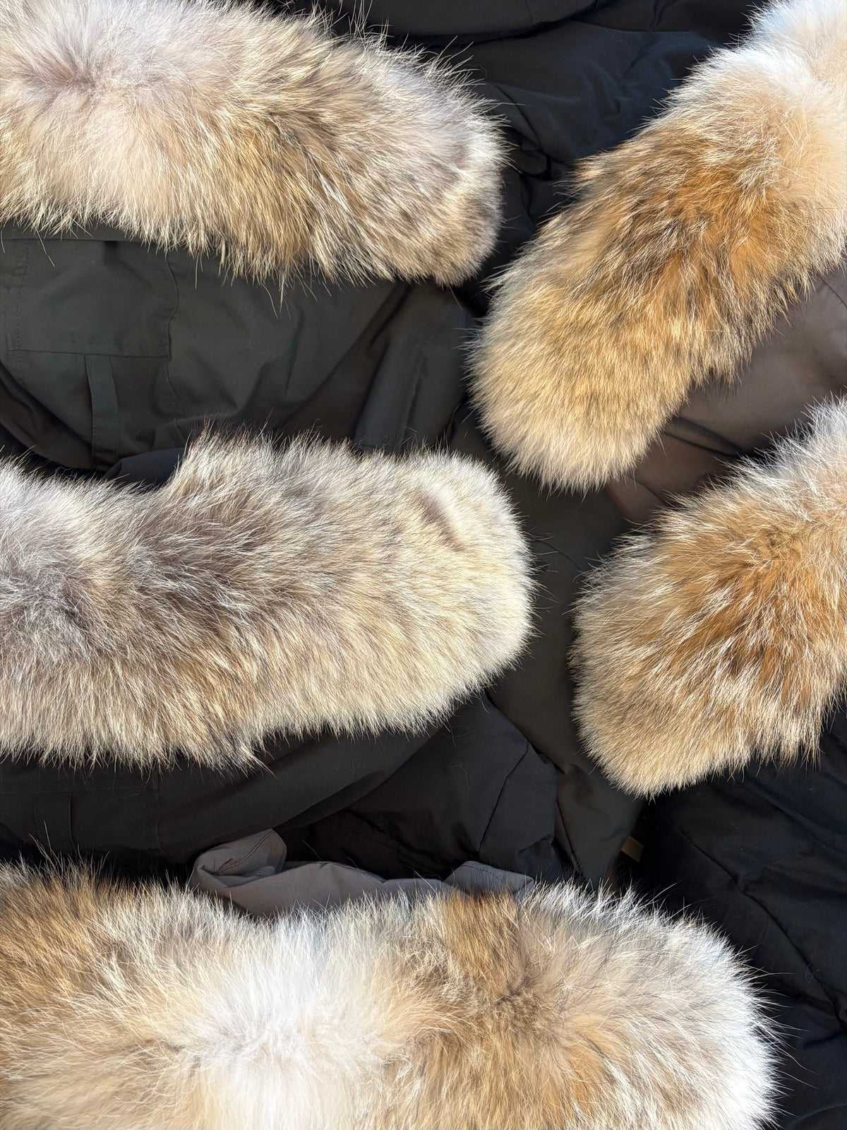Detail: hand-selected coyote fur